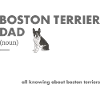 Boston Terrier Dad Definition