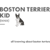 Boston Terrier Kid Definition
