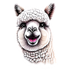 Alpaca Alpaca breeder Alpaca fan