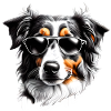Puppy Australian Shepherd Dog Owner