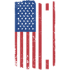 Boston Terrier Us Flag