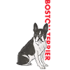 Boston Terrier Us Flag