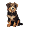 Hovawart owner farmer dog Purebred