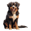 Hovawart owner farmer dog Purebred