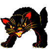 cat Halloween
