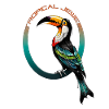 Tropical Jewel: Toucan Delight