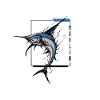 Marlin Majesty: Graceful Marlin