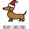 Christmas Dachshund
