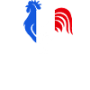 rugby supporter Rugby france