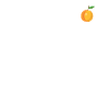 Nutrion Facts Apricot