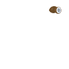 Nutrion Facts Coconut