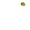 Nutrion infos Kiwi