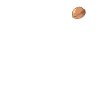 Nutrion Facts Walnut