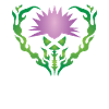 Thistle Flower