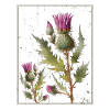 Thistle Flower