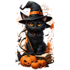 Enchanted Halloween Cat: Magical Broomstick