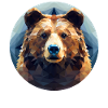 Bear in Polygon Geometry