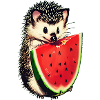 Hedgehog's Watermelon Treat