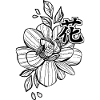Pink kanji