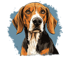 Dog American Foxhound