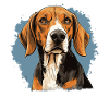 Chien American Foxhound
