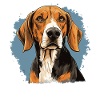 Dog American Foxhound