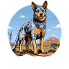 Hund Australian Cattle Dog