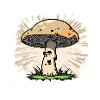 mushroom picker