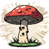 Fly agaric