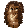 Orang-Utan-Mensch