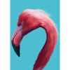 Flamingo-Kopf