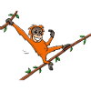Rimba Dschungelkind