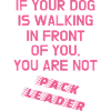 DogPackLeaderPink