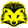 Igel Tier