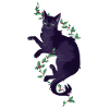 Sort kat Hollyleaf Thistle Leaf Warrior Katte