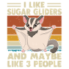 Sugar Glider Flying Squirrel