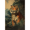 tigre