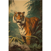 tigre