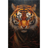 tigre