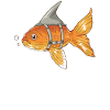 Hai Ozean Tigerhai Tier Fisch