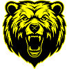 Grizzly Bear Head