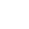 Grizzly Bear Head