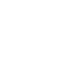 Grizzly Bear Shield