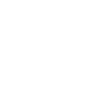 Lion Portait Head