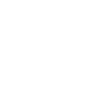 Lion Animal Head