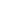 Ethiopia - Zebra
