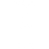 Rude White Skull