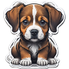 Chiot