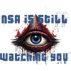 NSA still watching you
