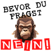 Bevor Du Fragst - Nein !